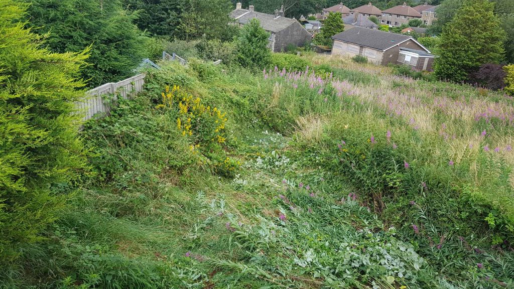 Vancano's allotment in August 2019